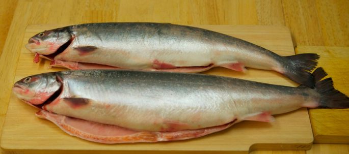 Photo of Как посолить форель дома с солью и сахаром